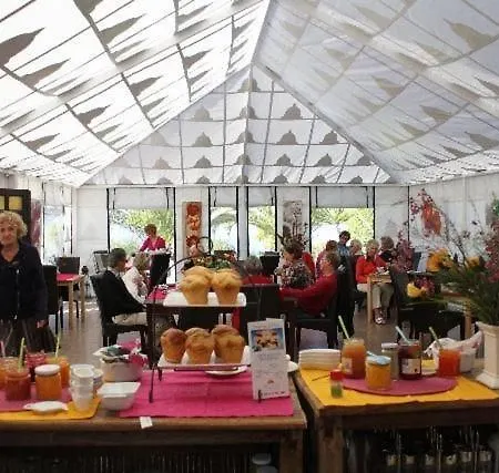 شقة Paloma Mit Terrasse Und Gemeinschaftspool *